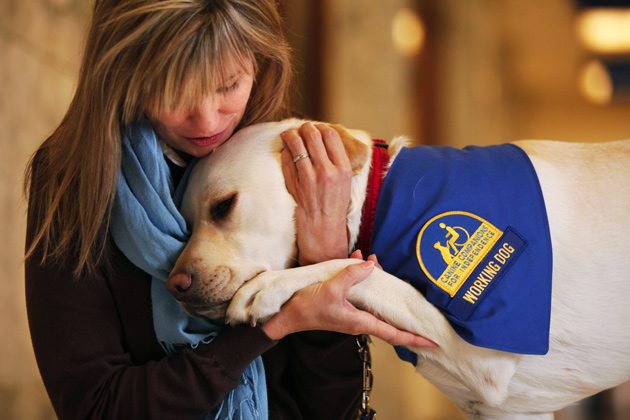 what makes a service dog legal